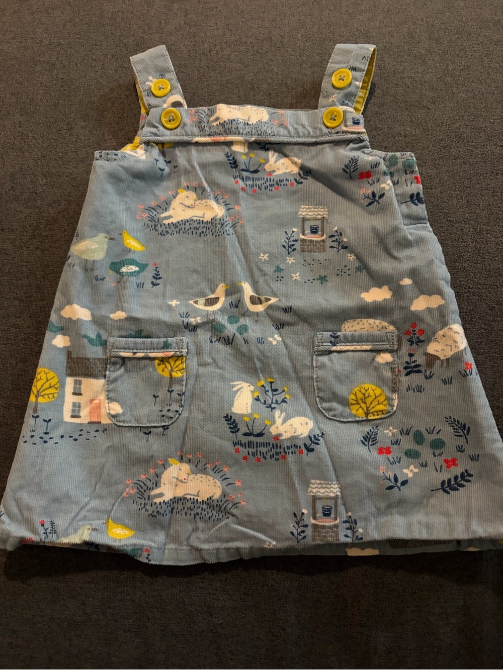 Mini Boden Light Blue Corduroy Pinafore Dress with Nature Print